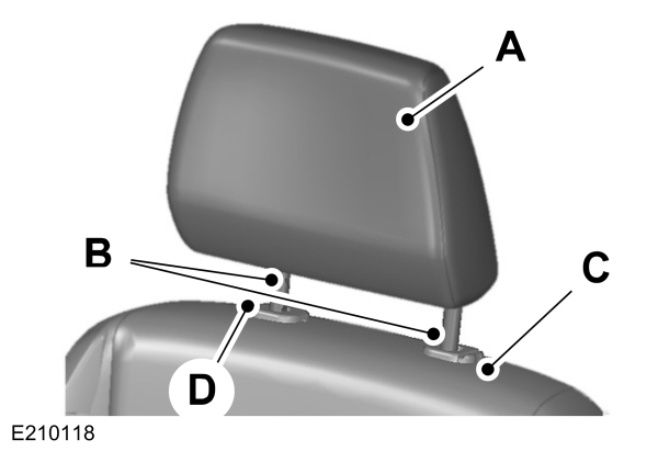 Image Shown Without Description