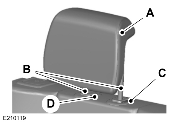 Image Shown Without Description