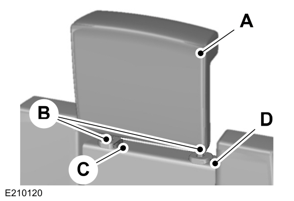 Image Shown Without Description