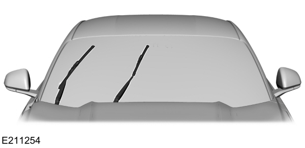 Image Shown Without Description
