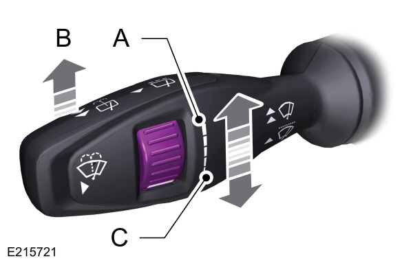 Image Shown Without Description