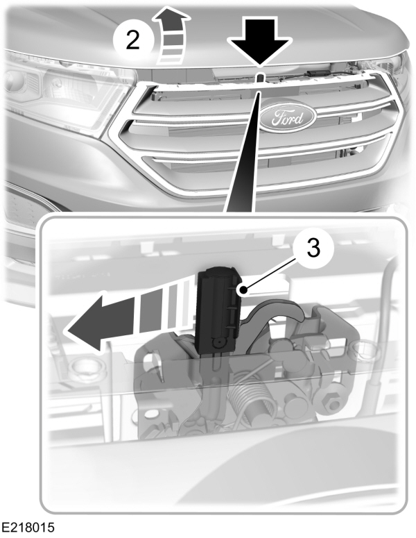 Image Shown Without Description