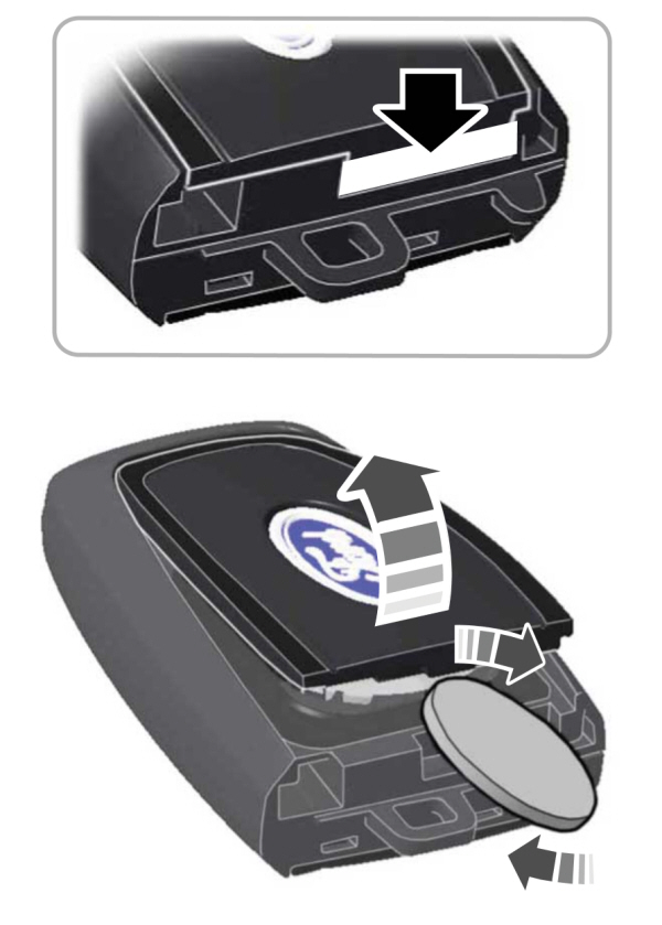 Replace Intelligent Access Key Battery