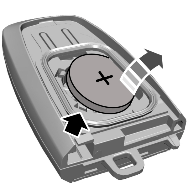 Intelligent Access Key Battery Replacement