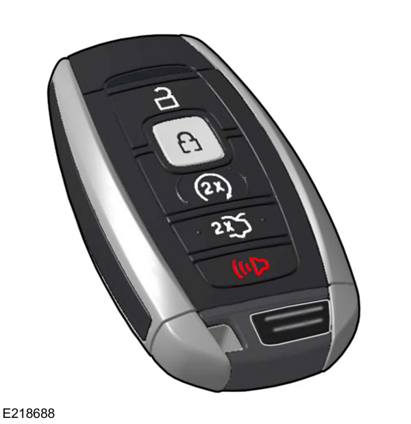 Intelligent Access Key