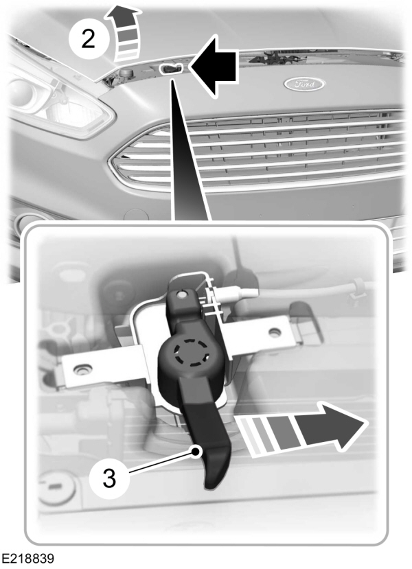 Image Shown Without Description