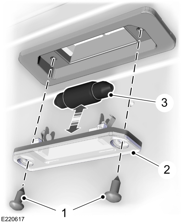 Number Plate Bulb Removal