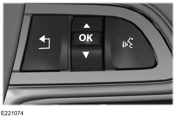Voice Control