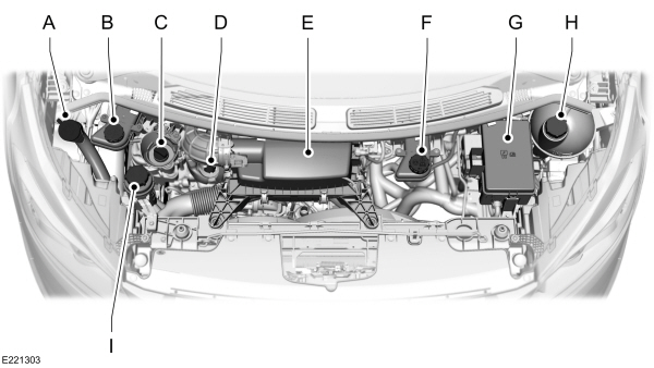 Image Shown Without Description