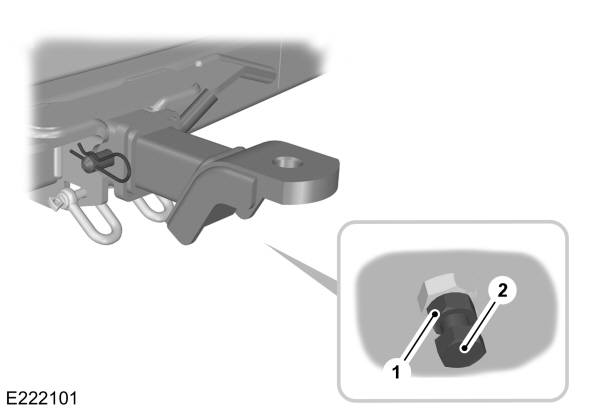 Image Shown Without Description