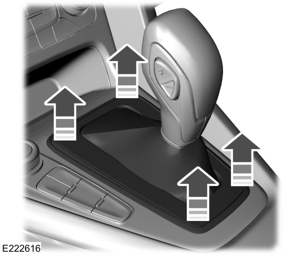 Image Shown Without Description