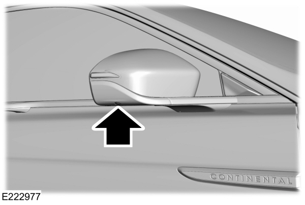 Side Camera