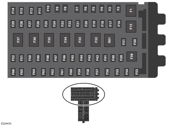 Image Shown Without Description