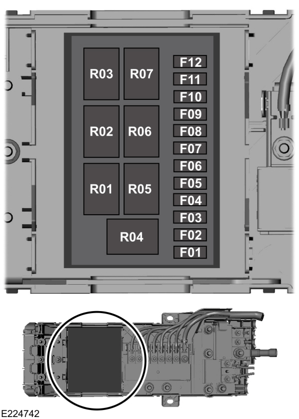 Image Shown Without Description