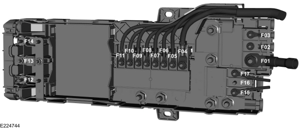 Image Shown Without Description