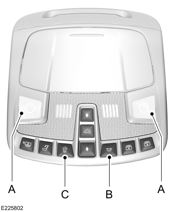 Interior Lamp