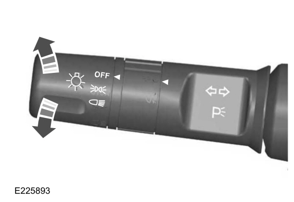 Image Shown Without Description