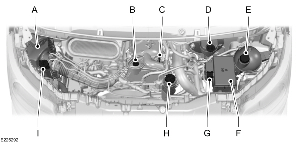 Image Shown Without Description