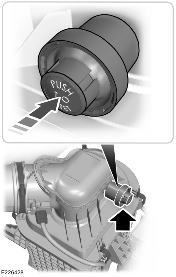 Air Filter Assembly Reset Button