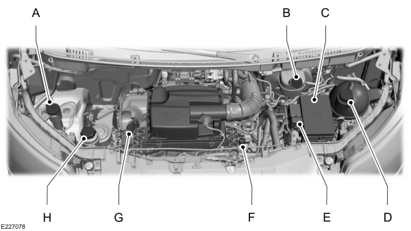Image Shown Without Description