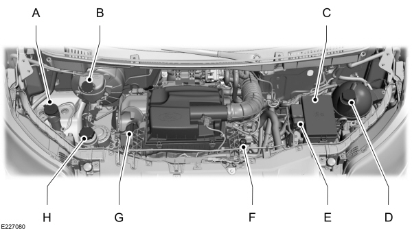 Image Shown Without Description