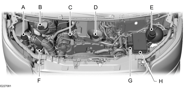 Image Shown Without Description