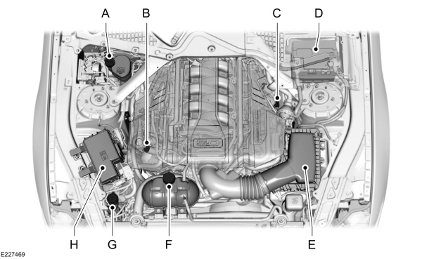 Image Shown Without Description