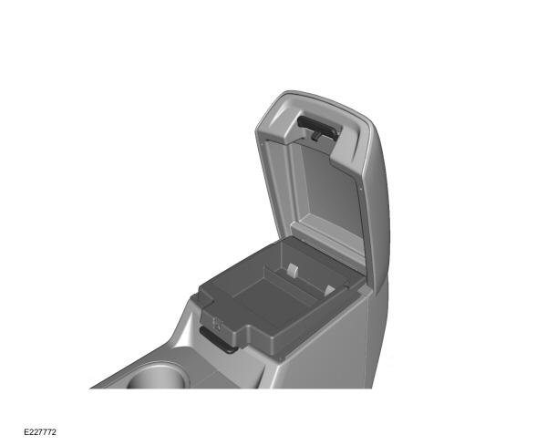 Image Shown Without Description