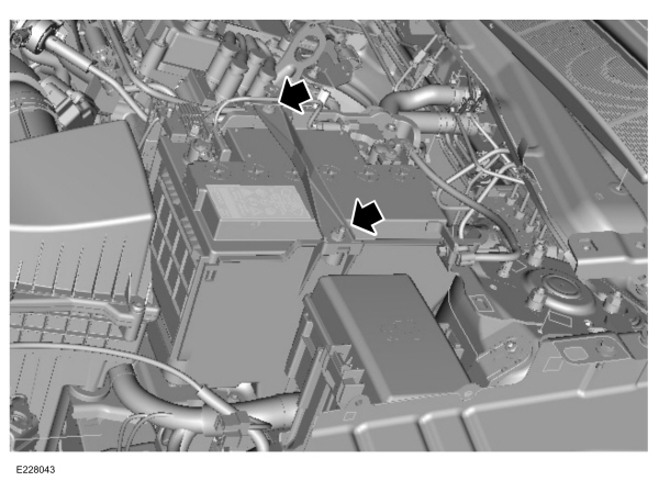 Image Shown Without Description