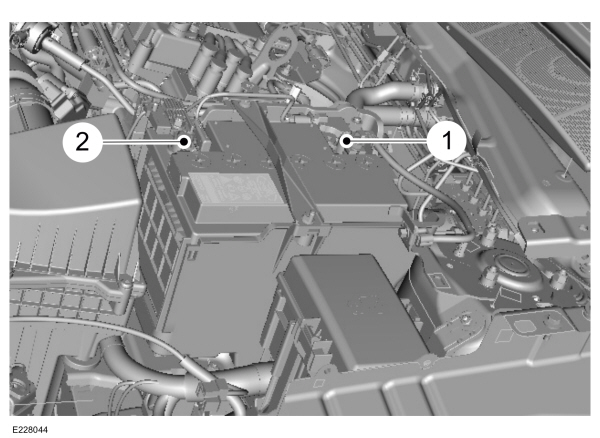 Image Shown Without Description