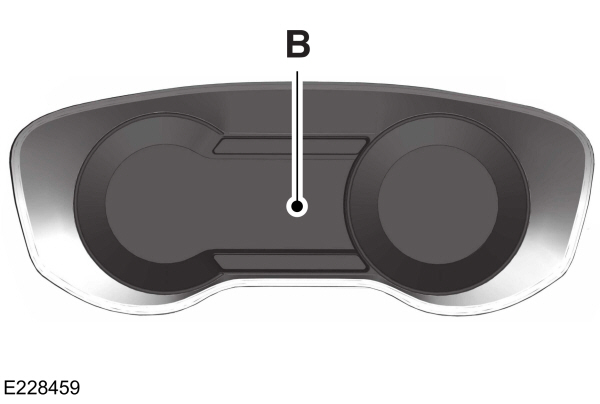 Image Shown Without Description