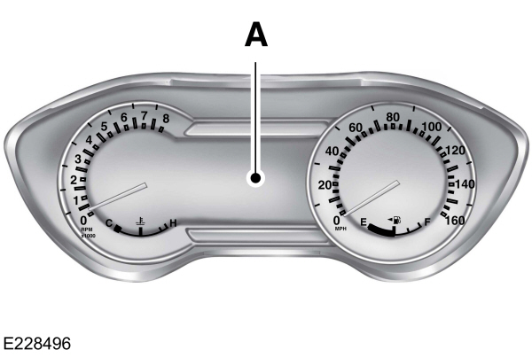 Image Shown Without Description