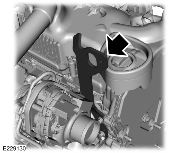 Image Shown Without Description