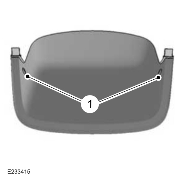 Image Shown Without Description