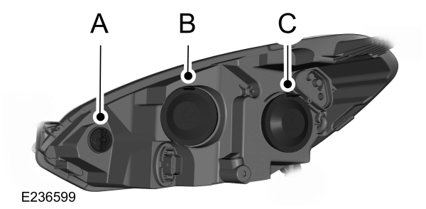 Image Shown Without Description