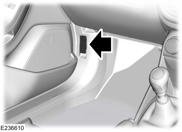 Image Shown Without Description