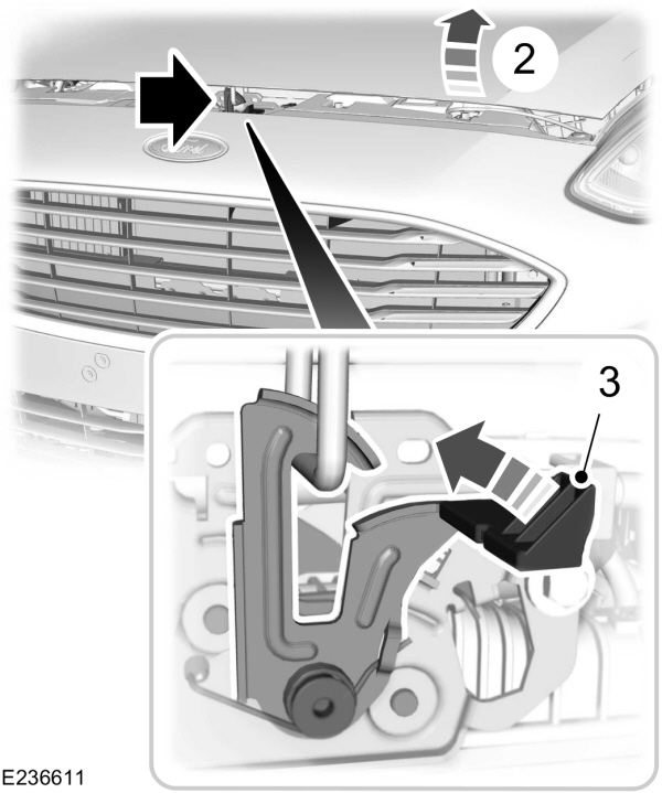 Image Shown Without Description