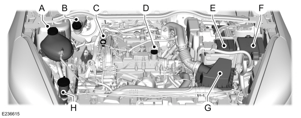 Image Shown Without Description