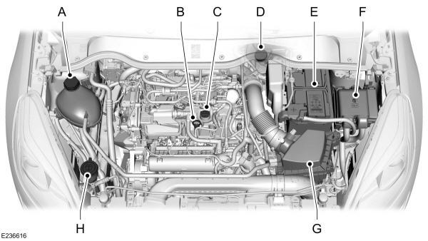 Image Shown Without Description