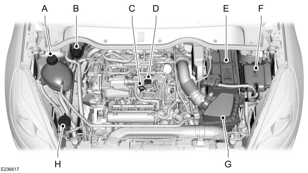 Image Shown Without Description