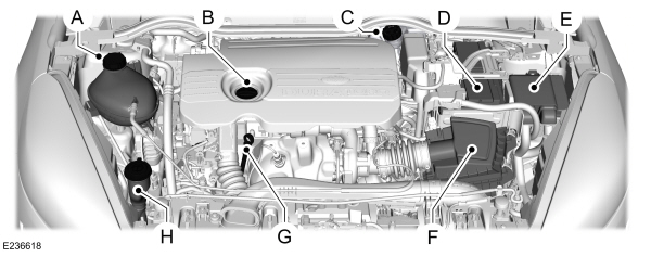 Image Shown Without Description