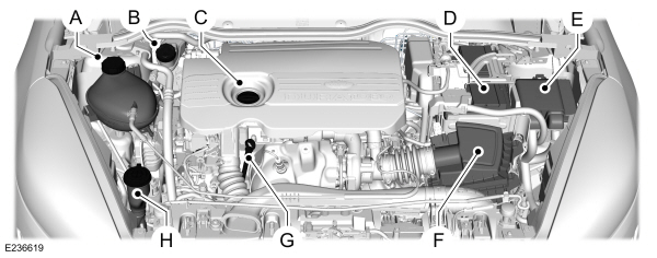 Image Shown Without Description