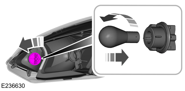 Image Shown Without Description