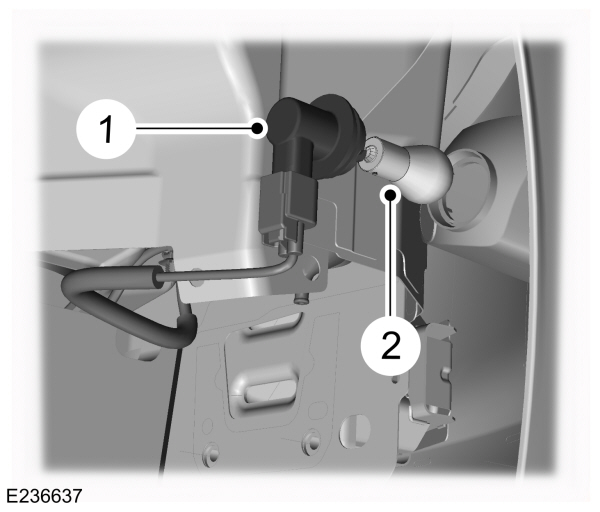 Image Shown Without Description