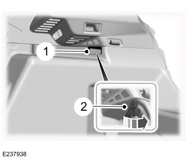 Image Shown Without Description