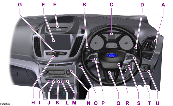 Image Shown Without Description