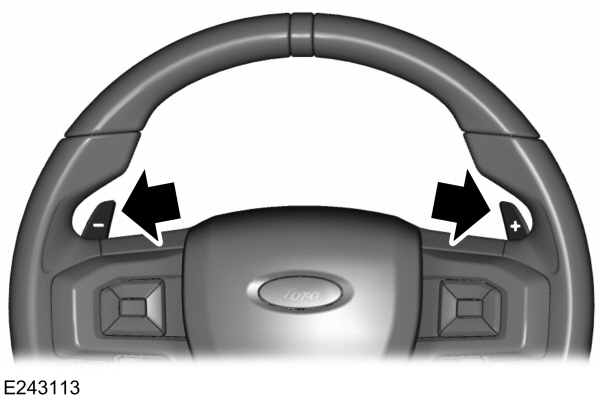 Paddle Shifter