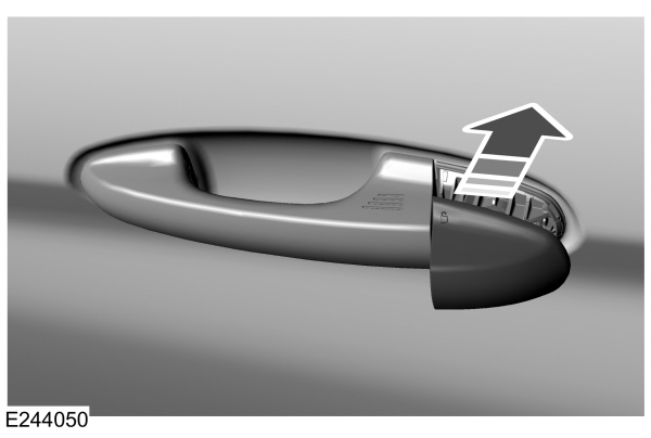 Image Shown Without Description