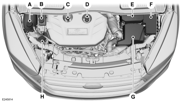 Image Shown Without Description
