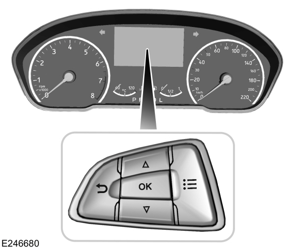 Instrument Cluster - Information Display Controls